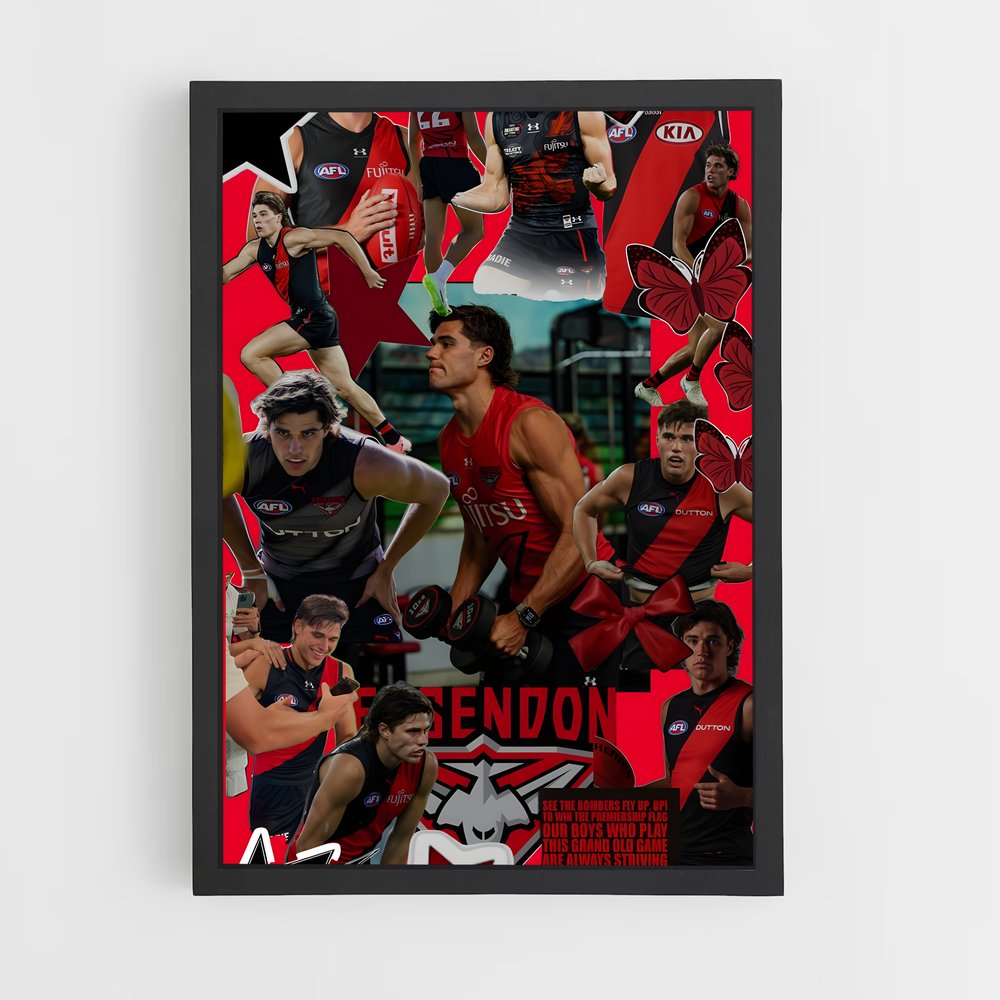 ap-essendon bombers-3 cadre Noir