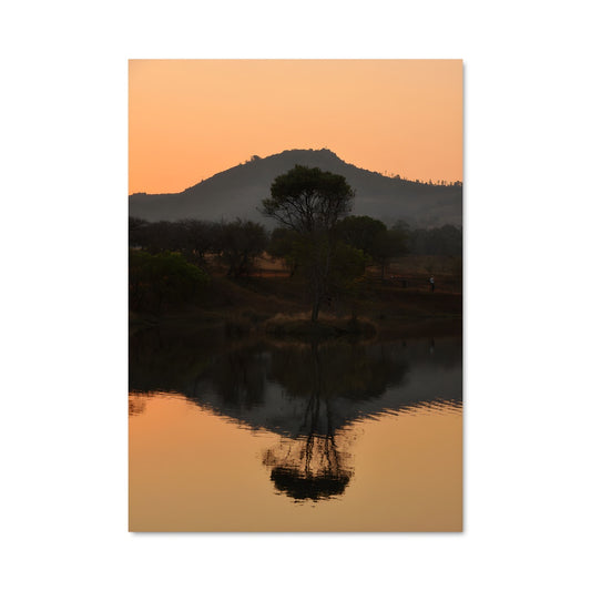 Poster Arbre Solitaire