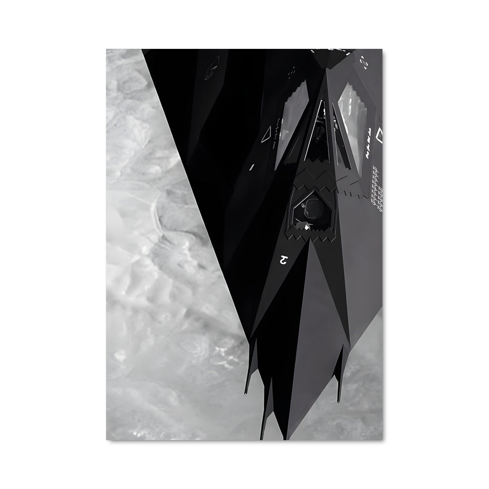 Poster Ombre du Nighthawk