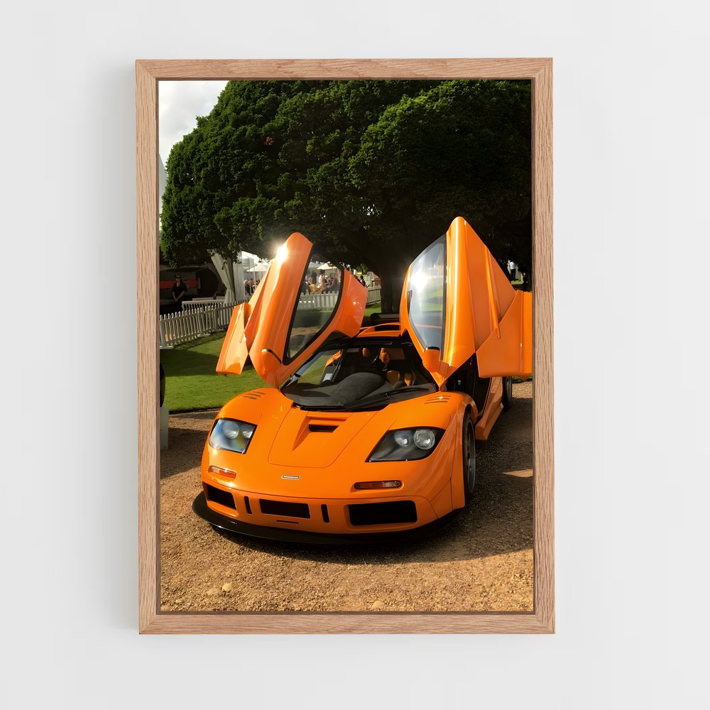 ap-f1 lm-1 cadre Bois clair