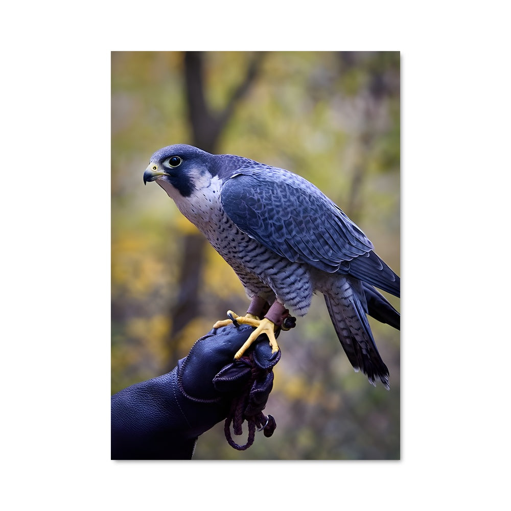 Poster L'Aigle Gardien