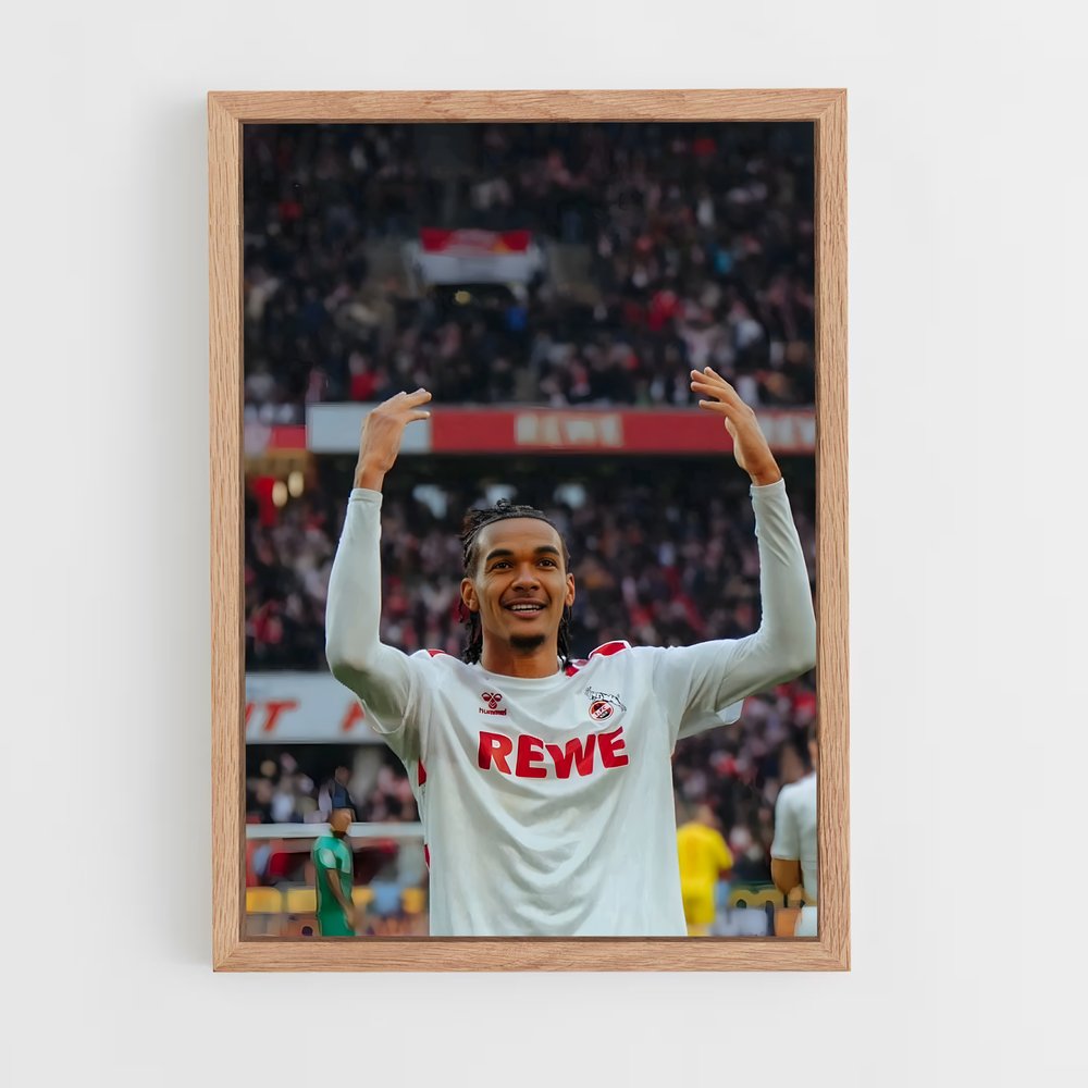 ap-fc koln-14 cadre Bois clair