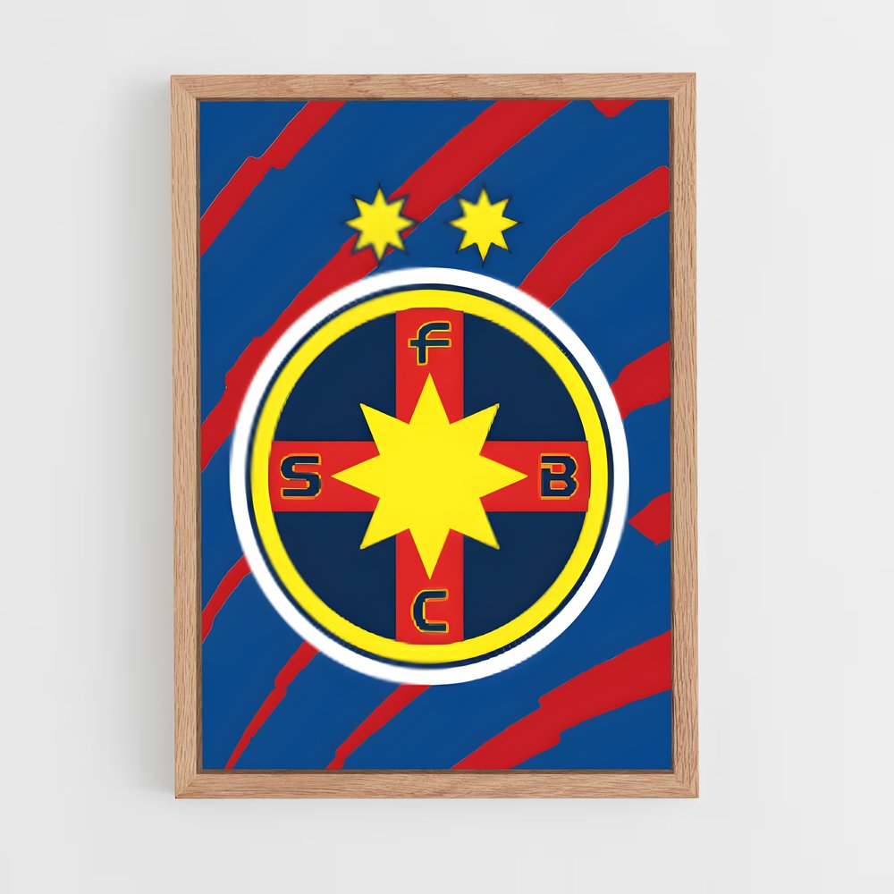 ap-fcsb steaua bucharest-2 cadre Bois clair