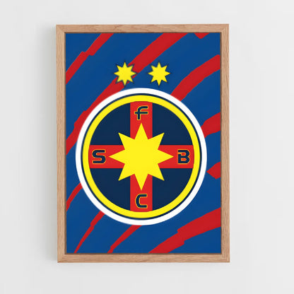 ap-fcsb steaua bucharest-2 cadre Bois clair