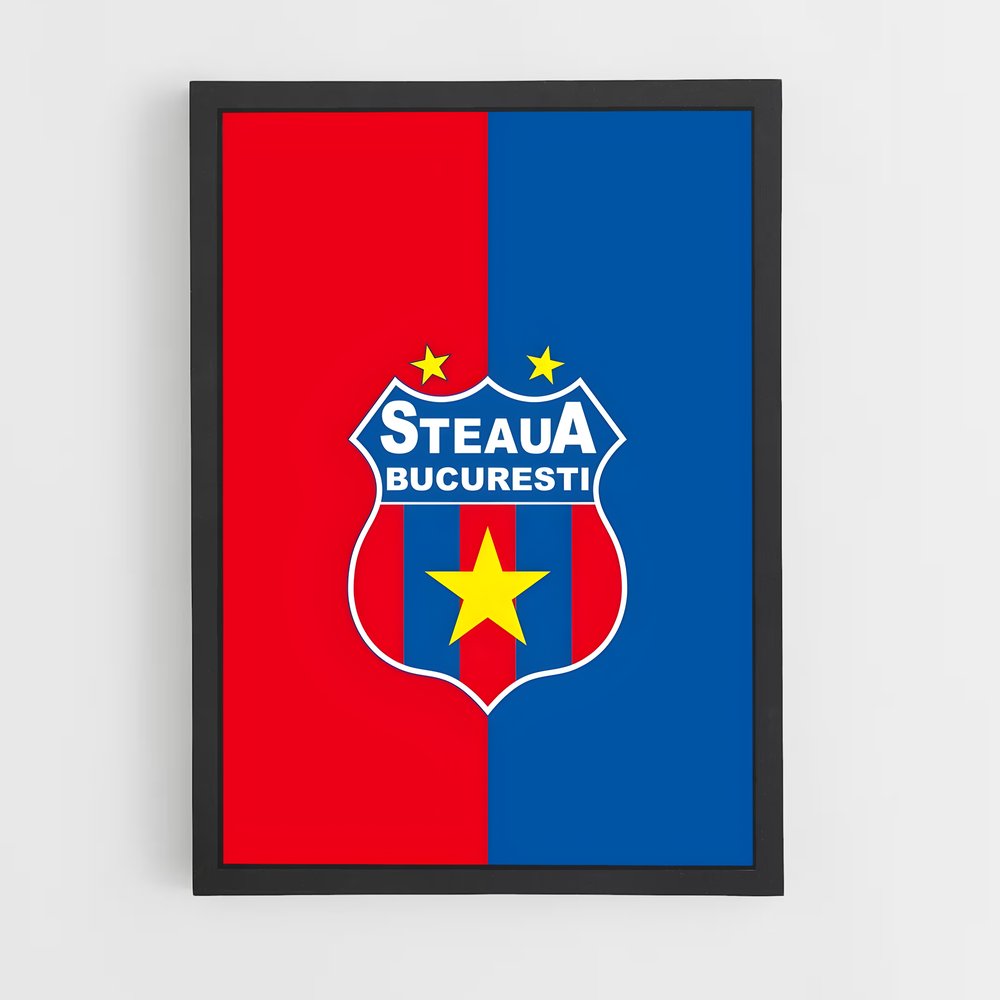 ap-fcsb steaua bucharest-3 cadre Noir