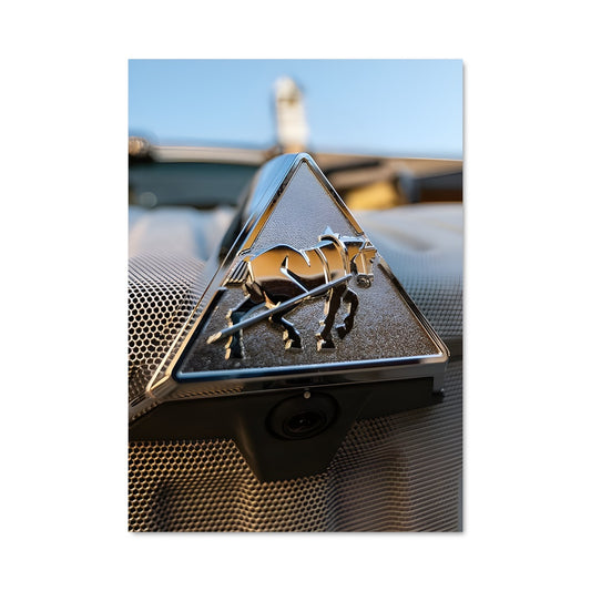 Poster Éclat de Badge