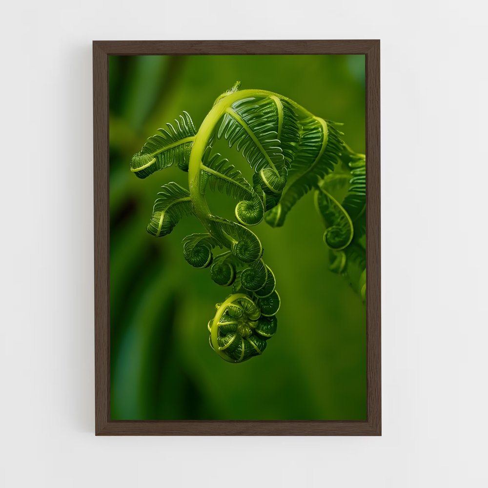 ap-ferns-1 cadre Bois foncé