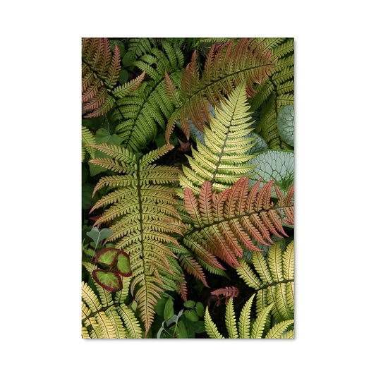 Poster Fougères Enflammées