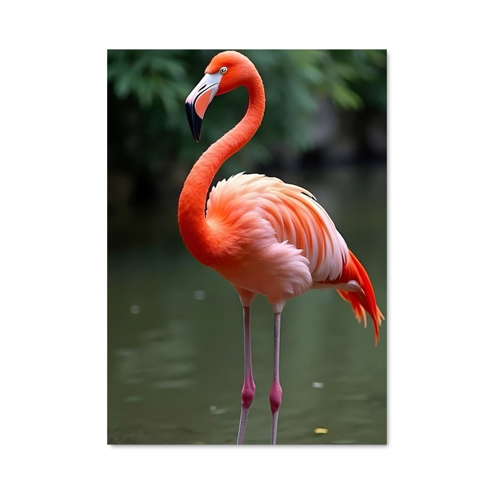 Poster Flamant Rose Éthéré