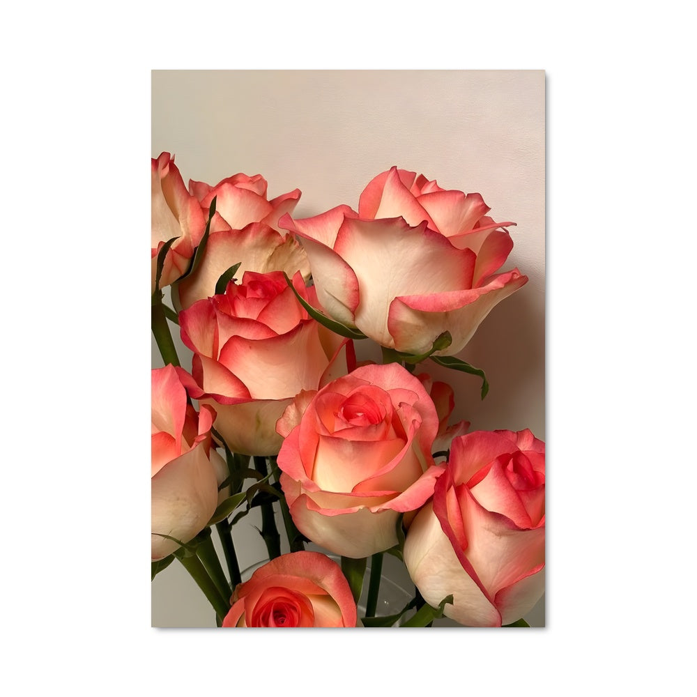 Poster Roses Poudrées