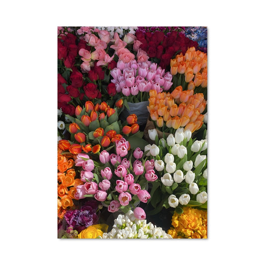 Poster Flowers 96437
