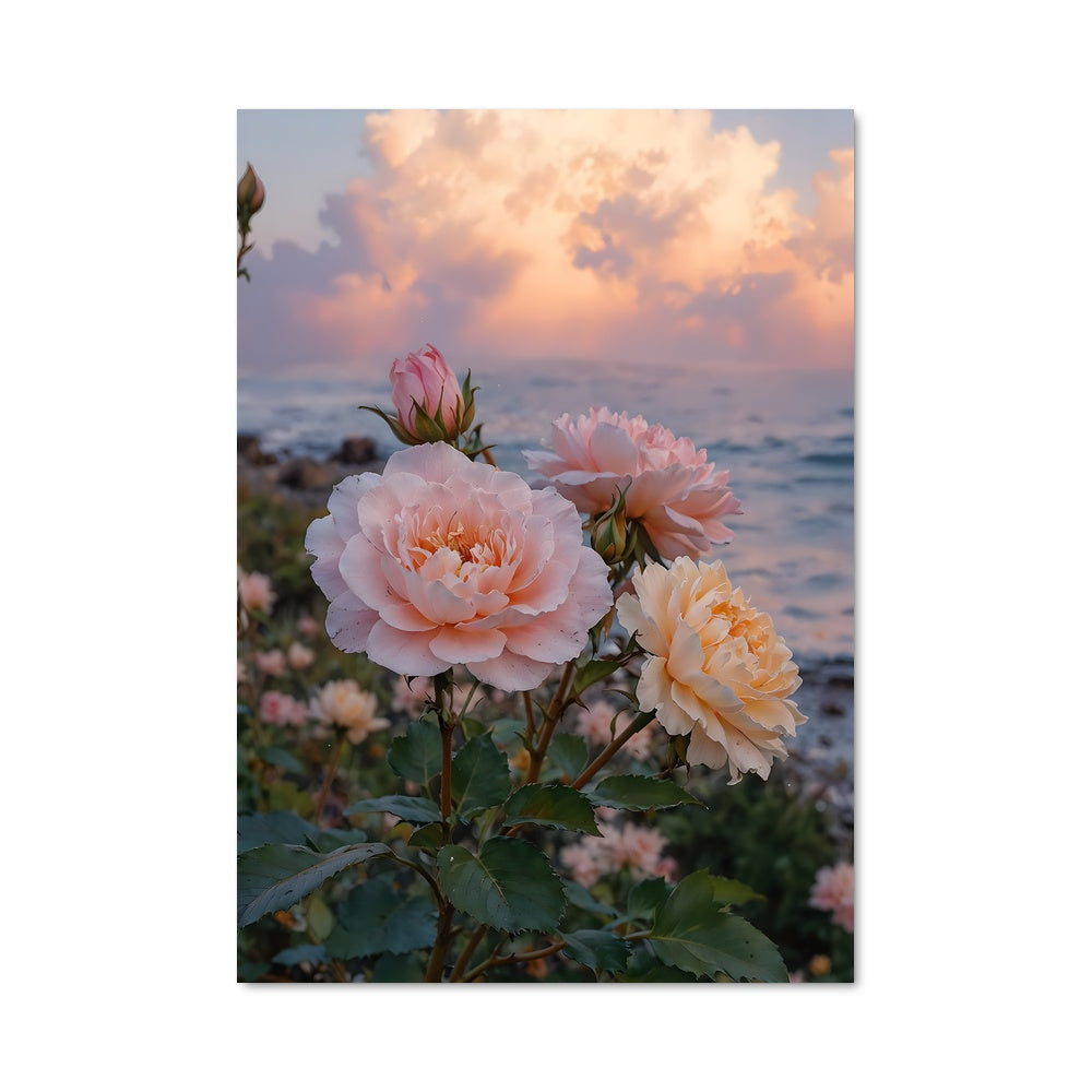 Poster Roses de l'Océan