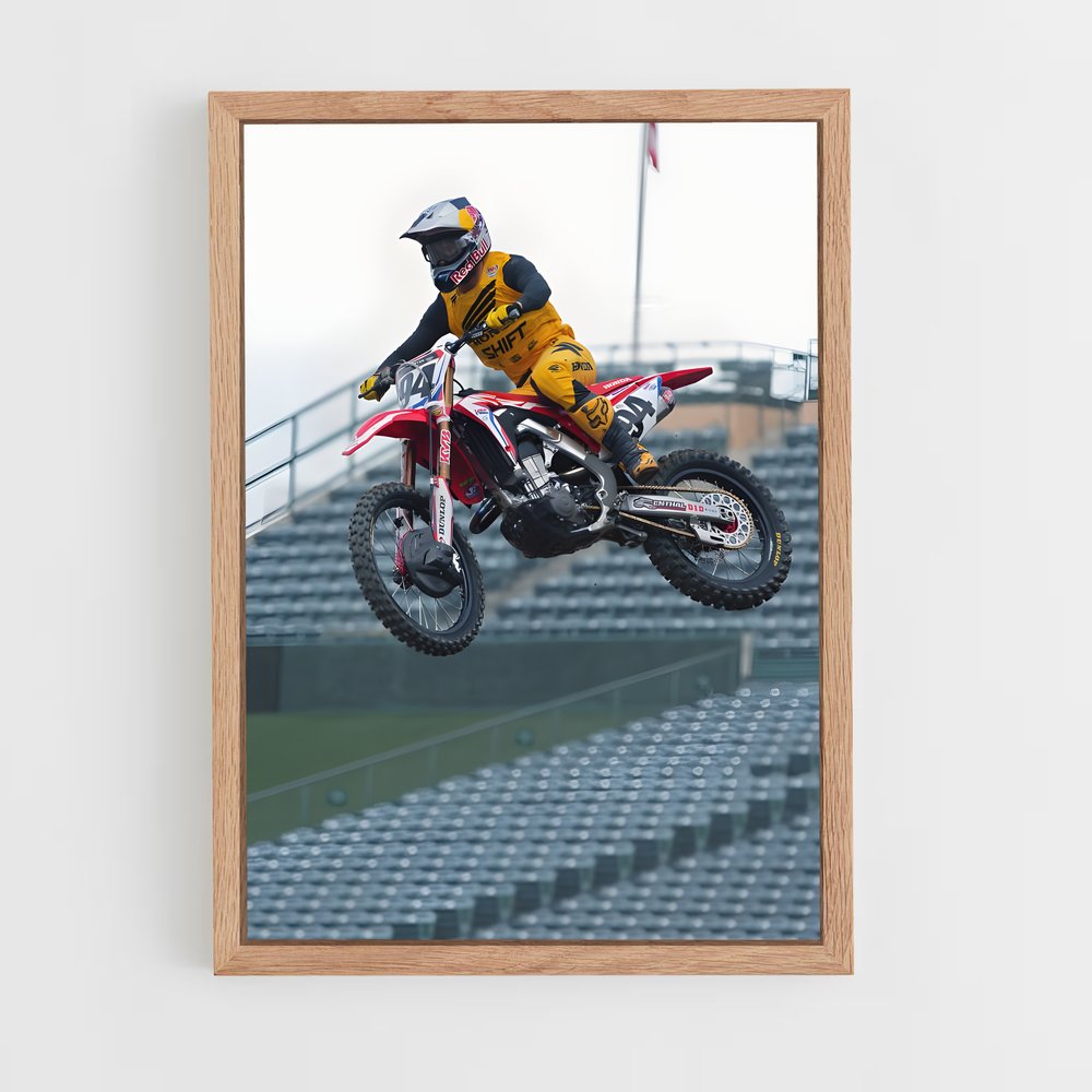ap-fmx world championship-3 cadre Bois clair