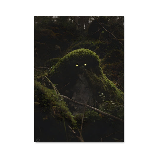 Poster Émeraude des Bois