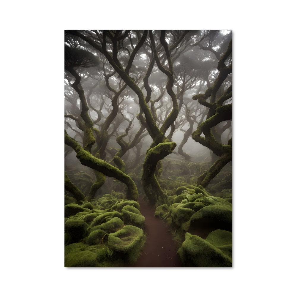 Poster Mystères du Hodok