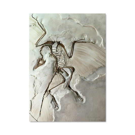 Poster Fossile Mystérieux