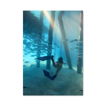 Poster Free diving 67475