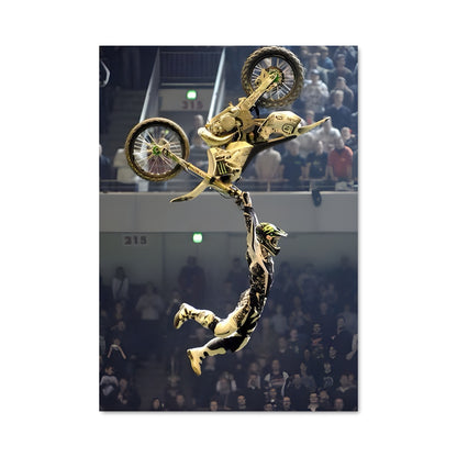 Poster Trickster en L'air