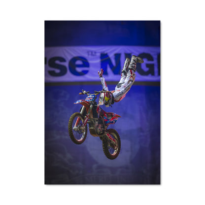 Poster Trickster en Action