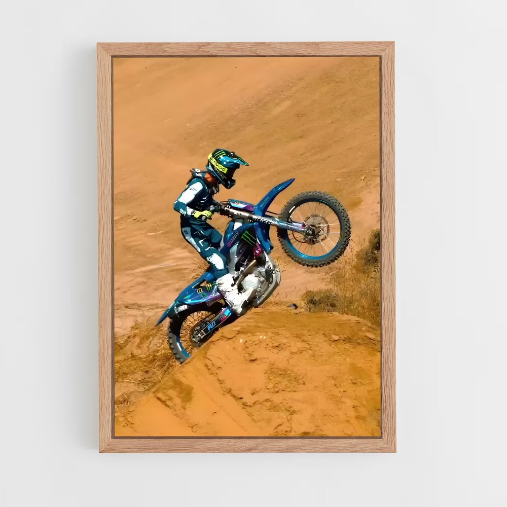 ap-freestyle motocross-12 cadre Bois clair