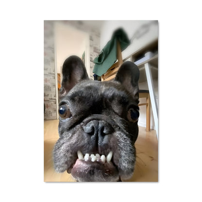 Poster Chien Heureux