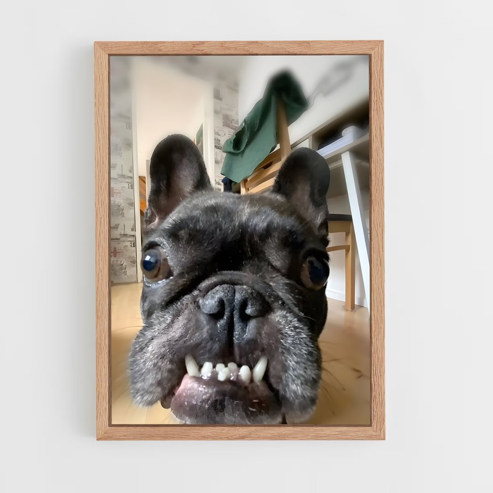 ap-french bulldog-2 cadre Bois clair
