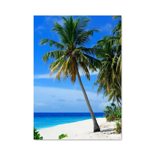 Poster Paradis de Fuvahmulah