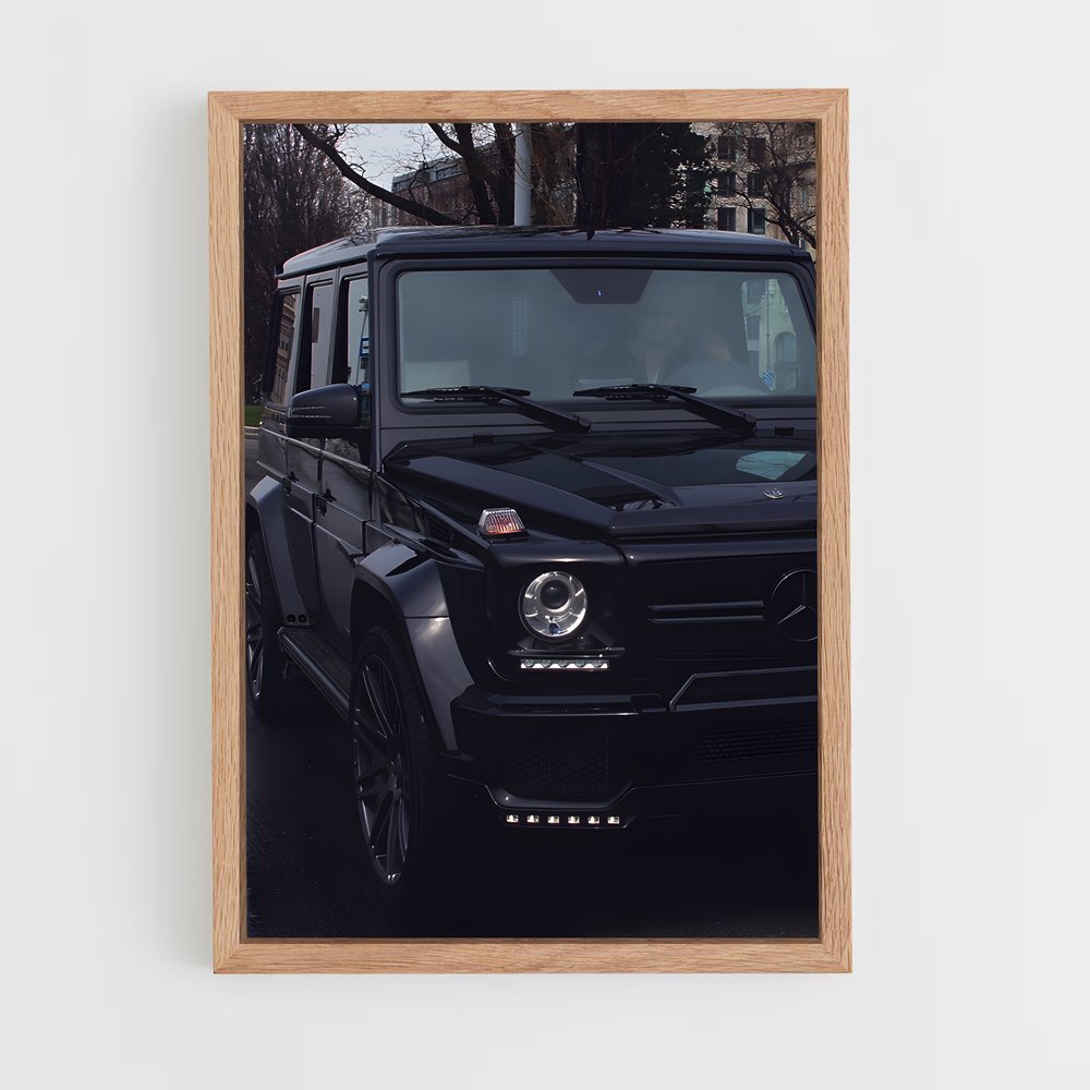 ap-g65 amg-8 cadre Bois clair