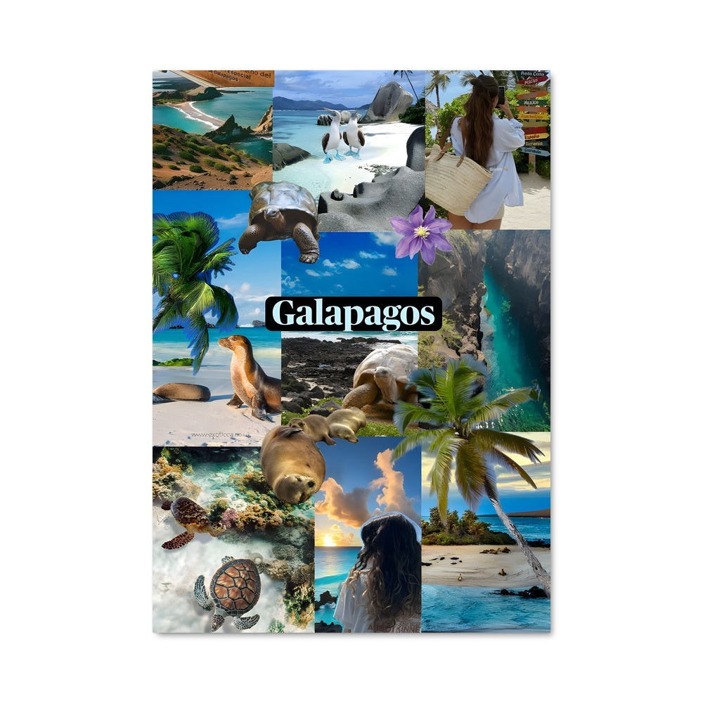 Poster Galapagos islands 96955