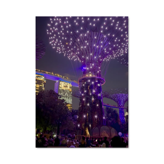 Poster Lumières de la Baie