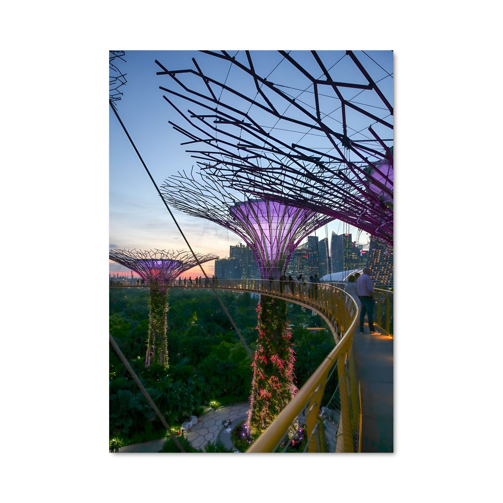 Poster Jardins Éclairés