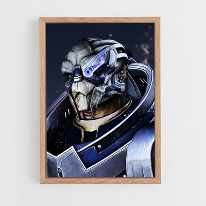 ap-garrus-1 cadre Bois clair