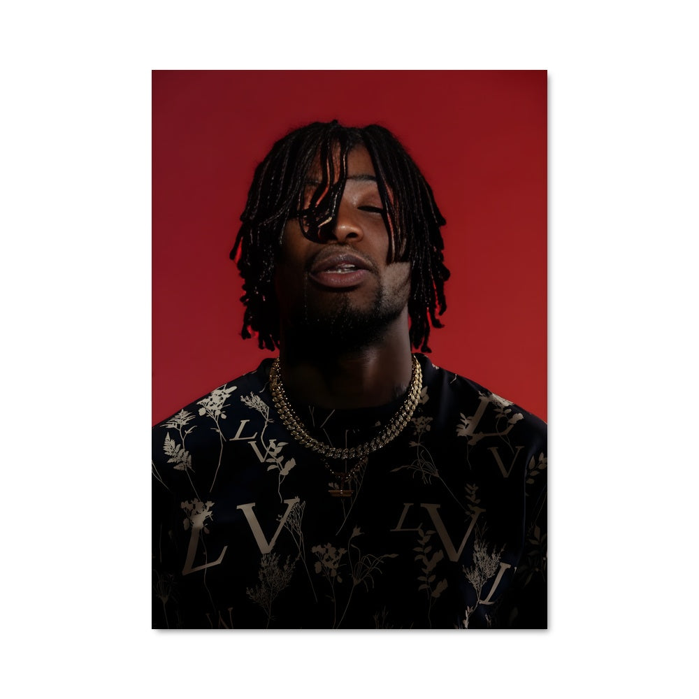 Poster Dreadlock Vibe