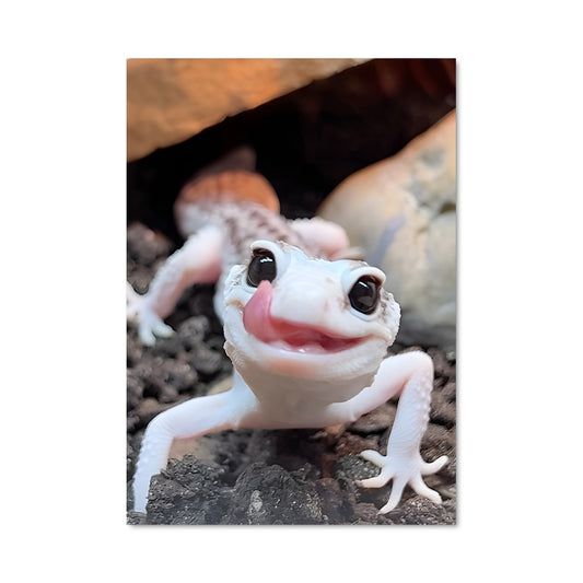 Poster Gecko Mystique