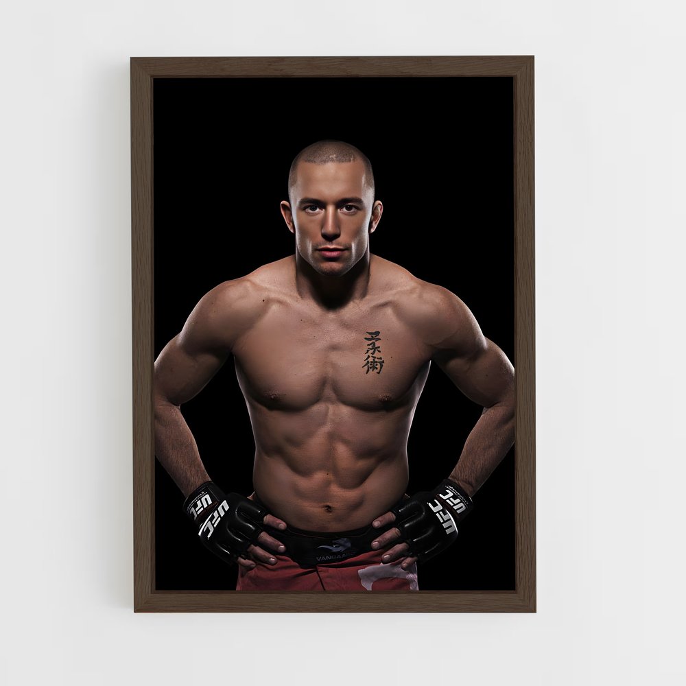ap-georges st-pierre-2 cadre Bois foncé