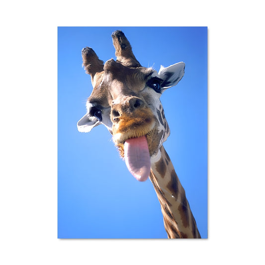 Poster Giraffe en Folie