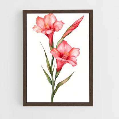 ap-gladiolus-7 cadre Bois foncé