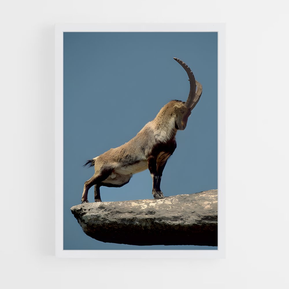 ap-goat-1 cadre Blanc