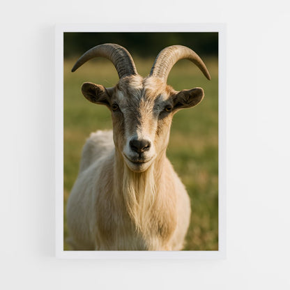 ap-goat-2 cadre Blanc