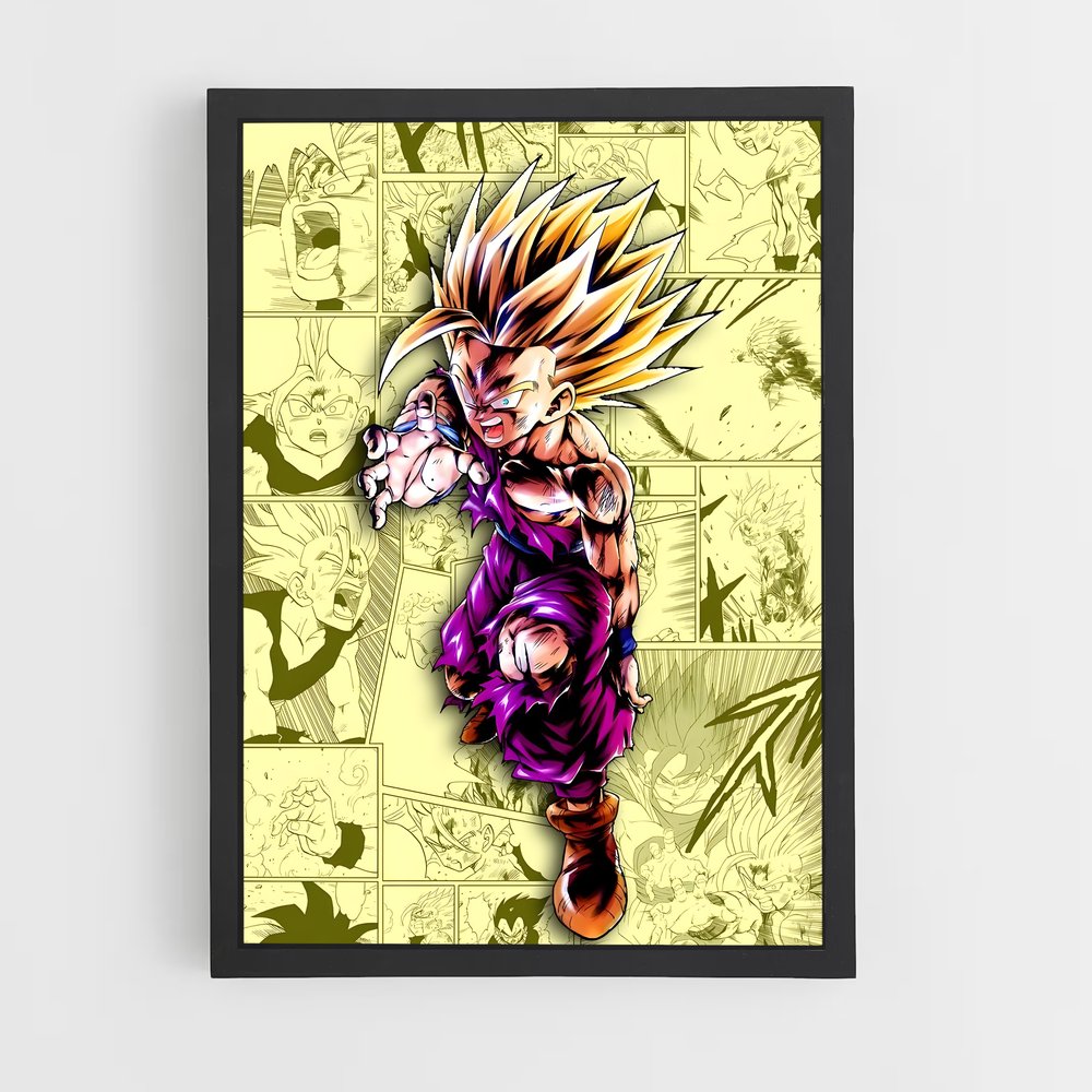 ap-gohan-12 cadre Noir