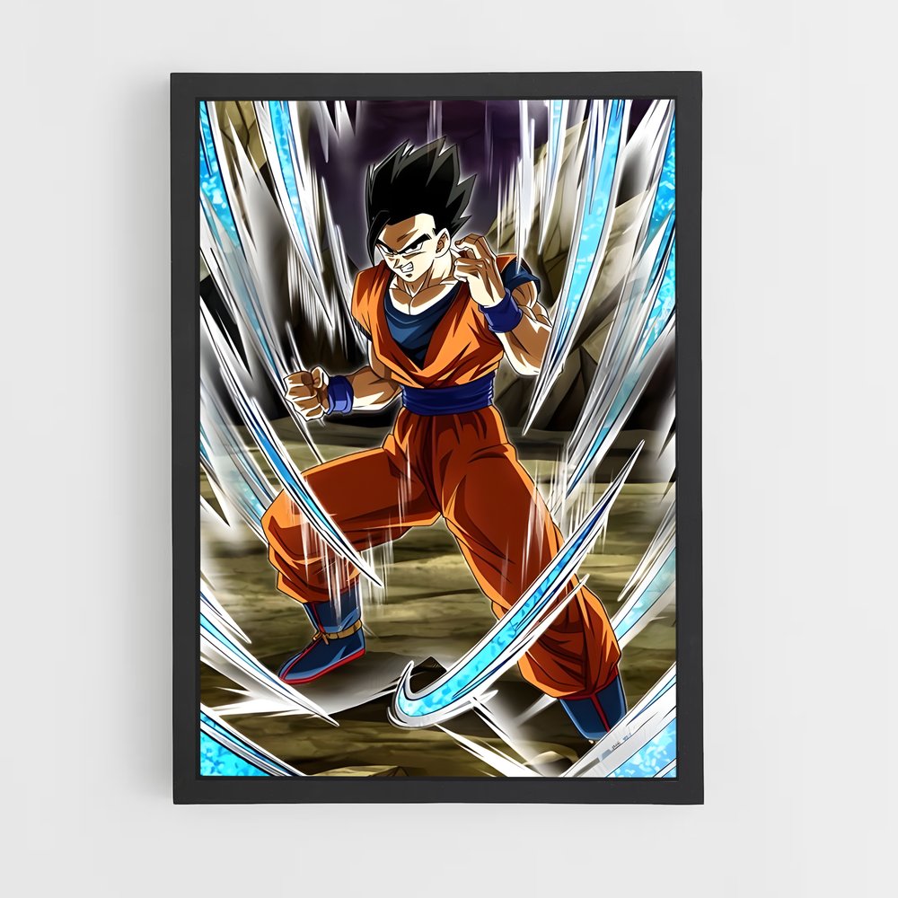 ap-gohan-13 cadre Noir