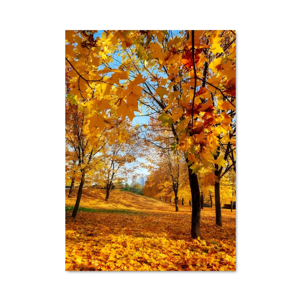 Poster Golden autumn 97629