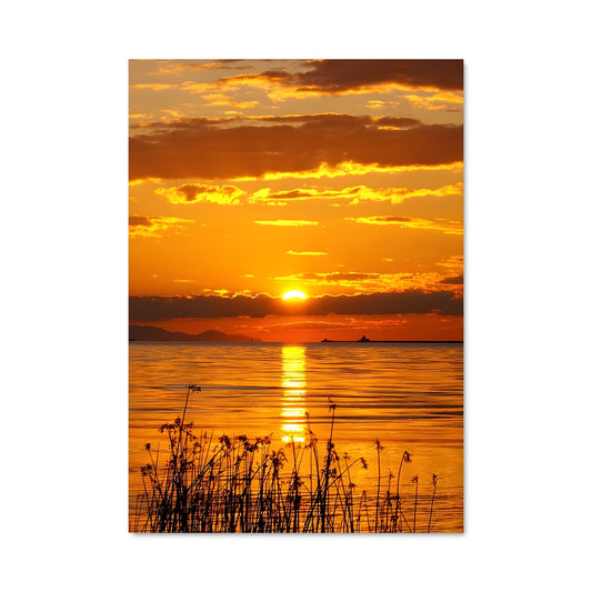 Poster Golden Horizon