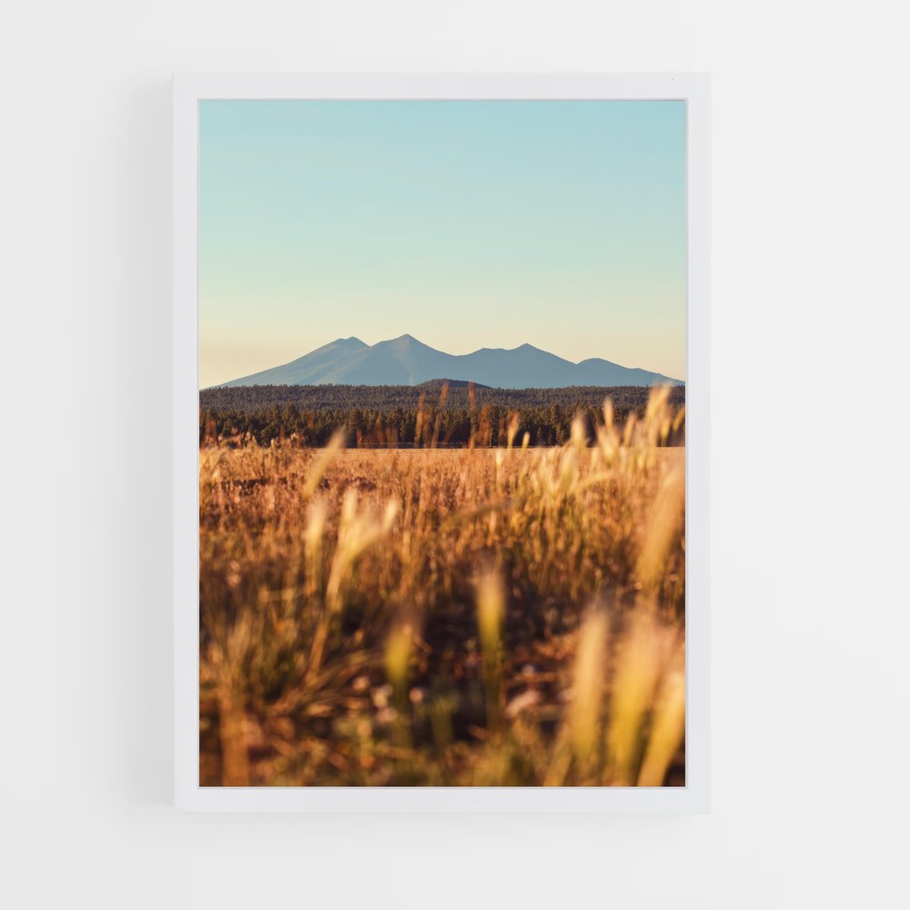 ap-golden hour-7 cadre Blanc