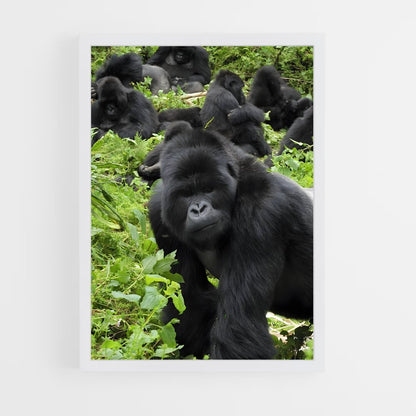 ap-gorilla-2 cadre Blanc