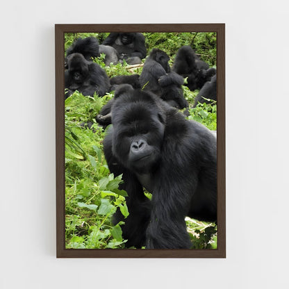 ap-gorilla-2 cadre Bois foncé