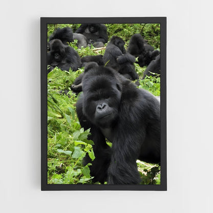 ap-gorilla-2 cadre Noir
