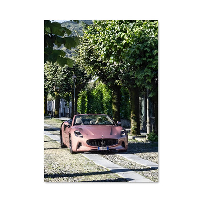 Poster Pink Dream Racer