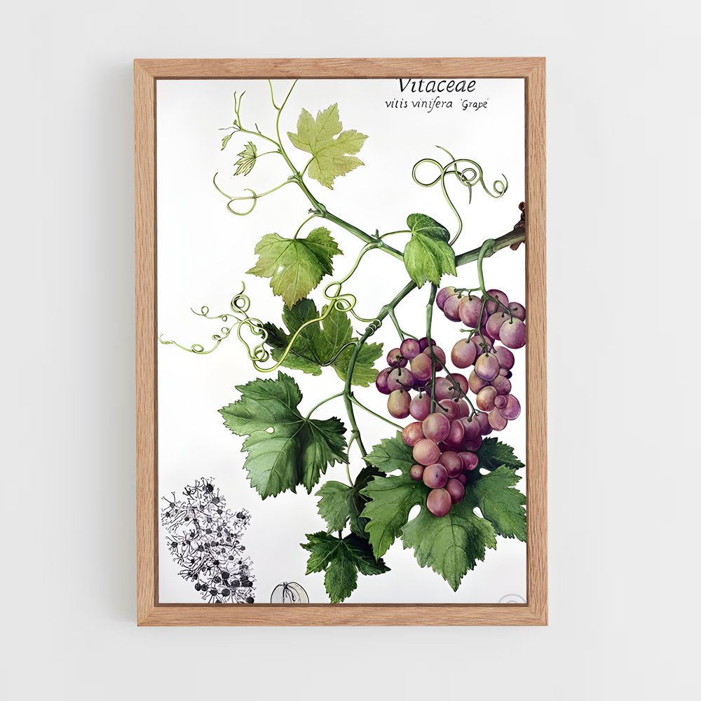 ap-grape vine-1 cadre Bois clair