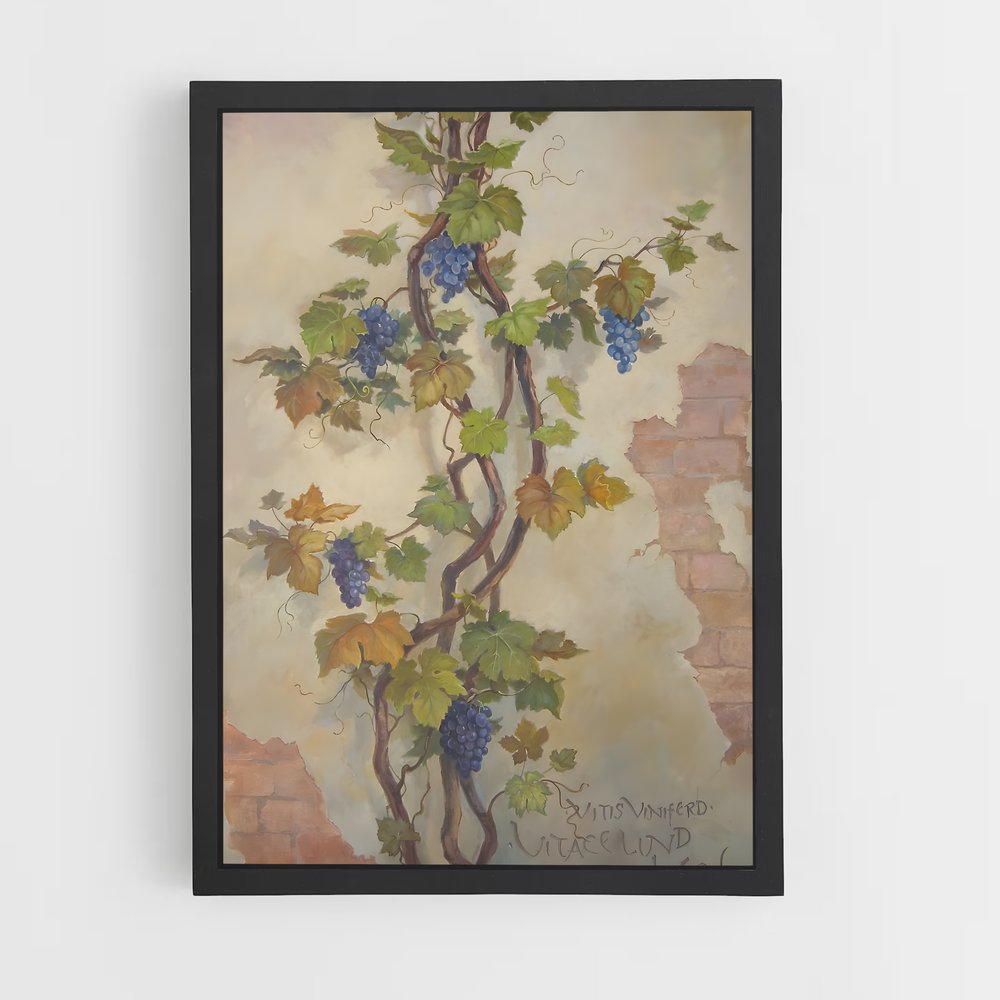 ap-grape vine-5 cadre Noir